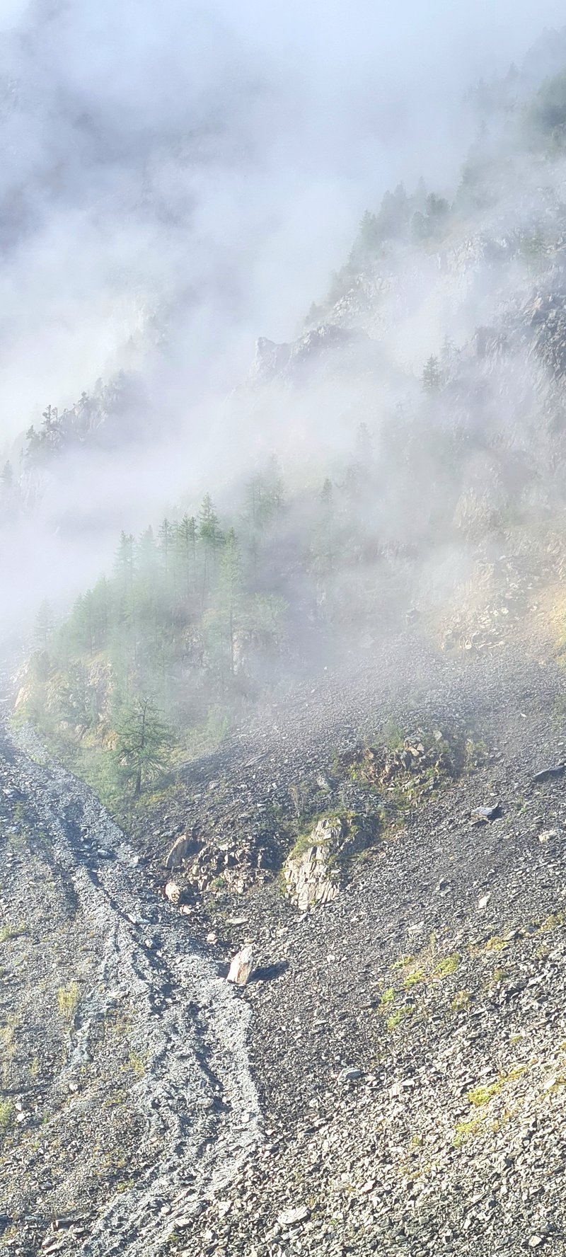 Логотип Тестовое сообщество