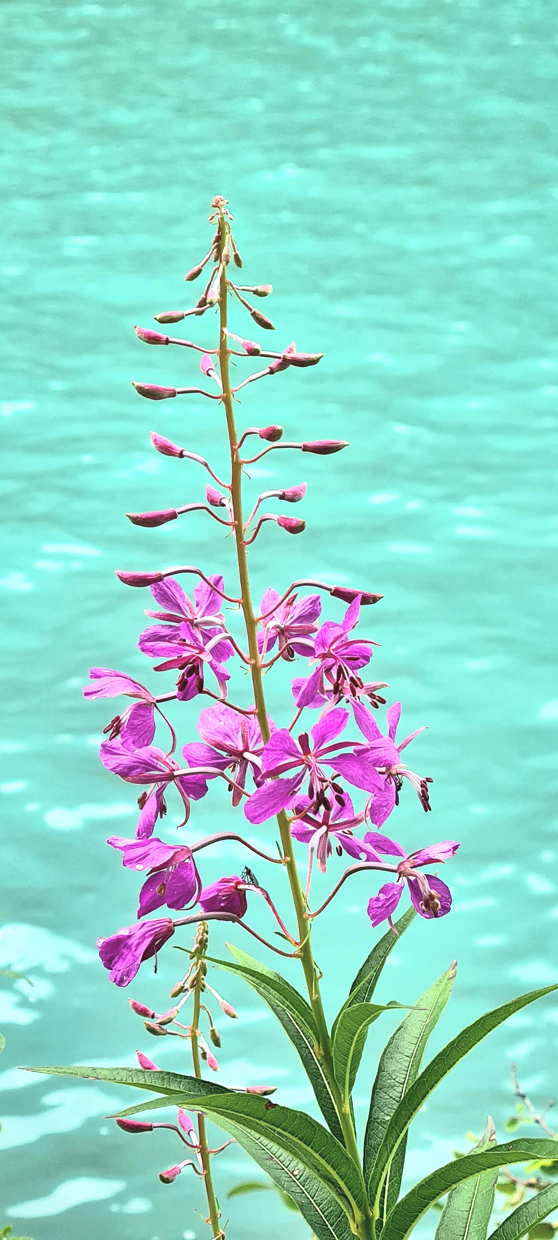 Шавлинские озера