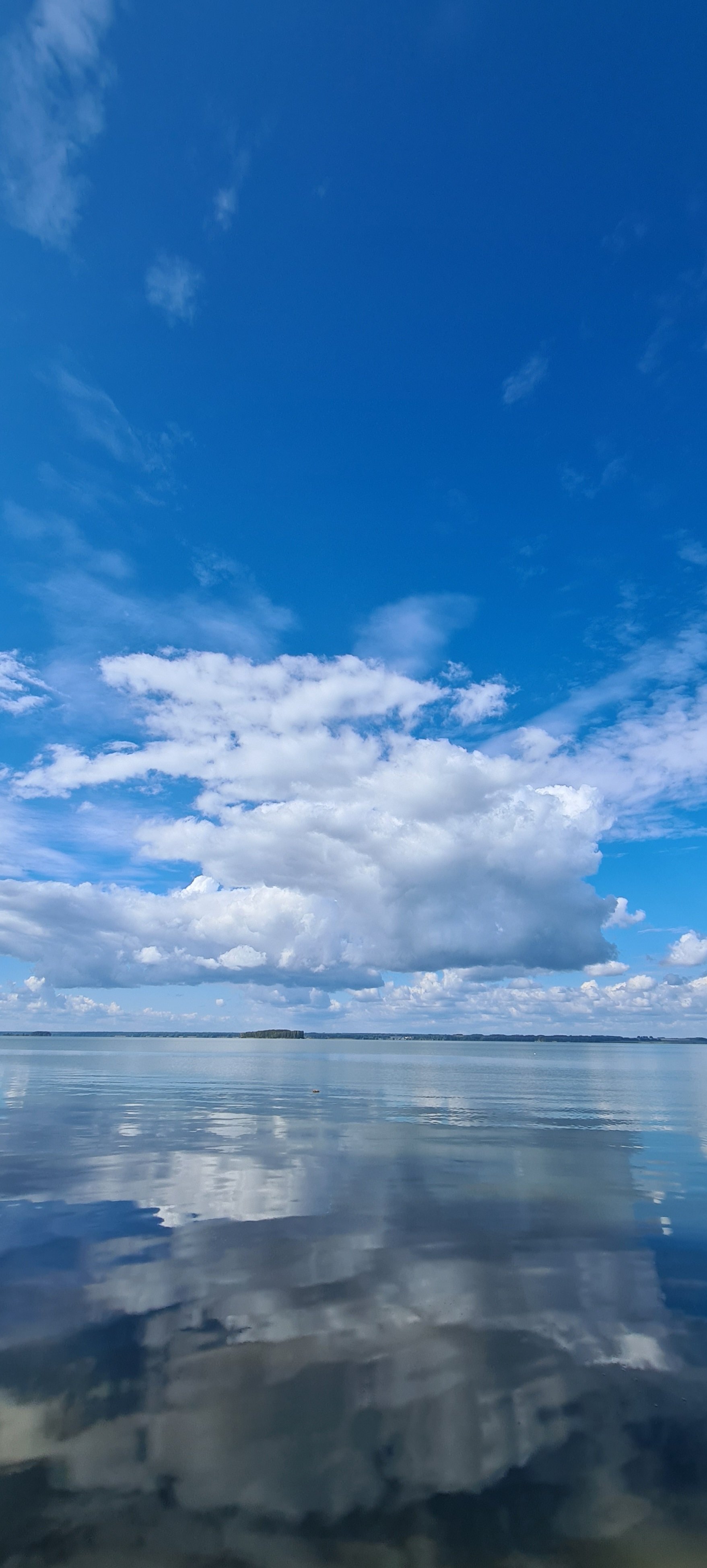 Караканский бор