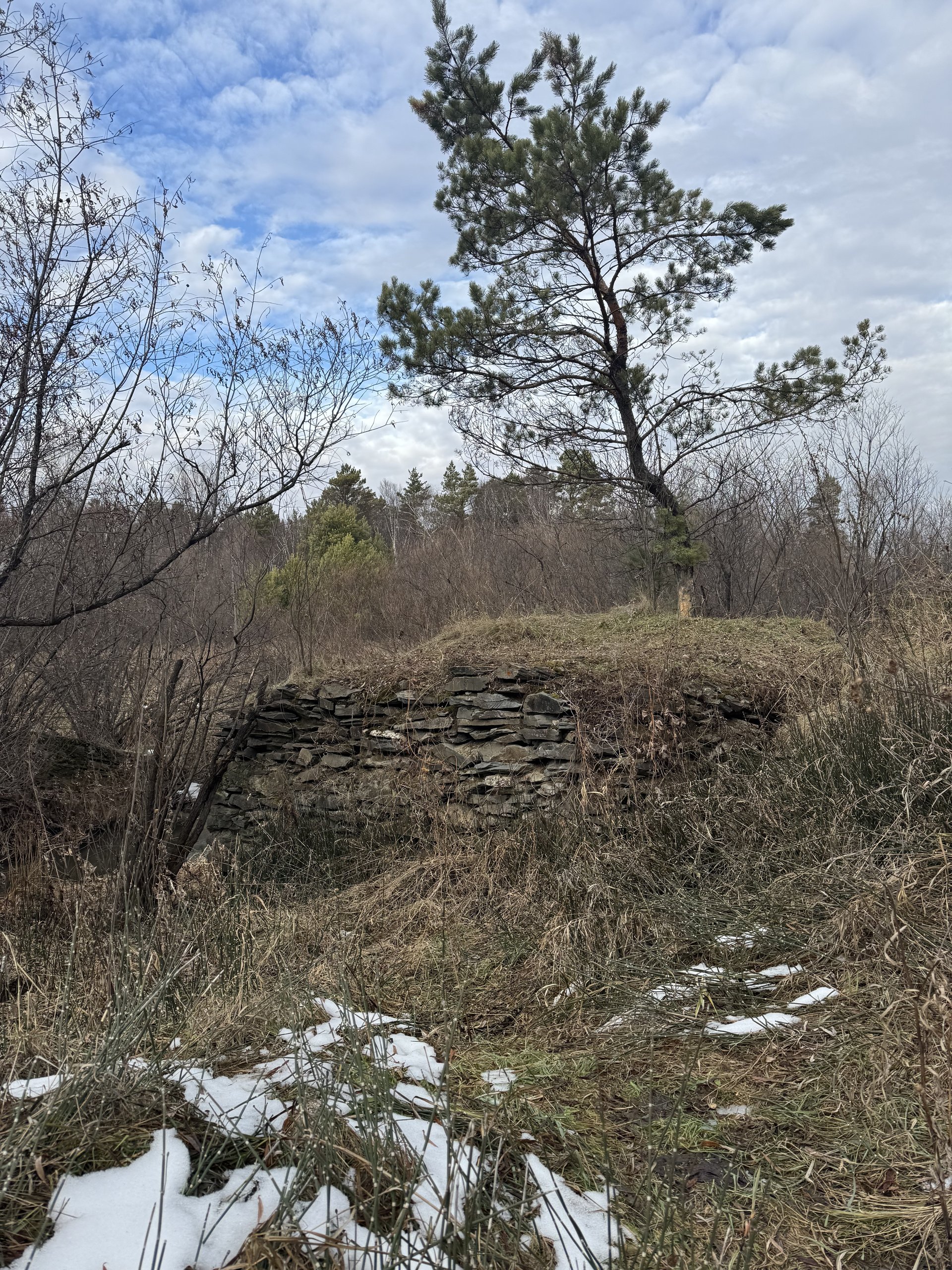 Мельница на реке ора